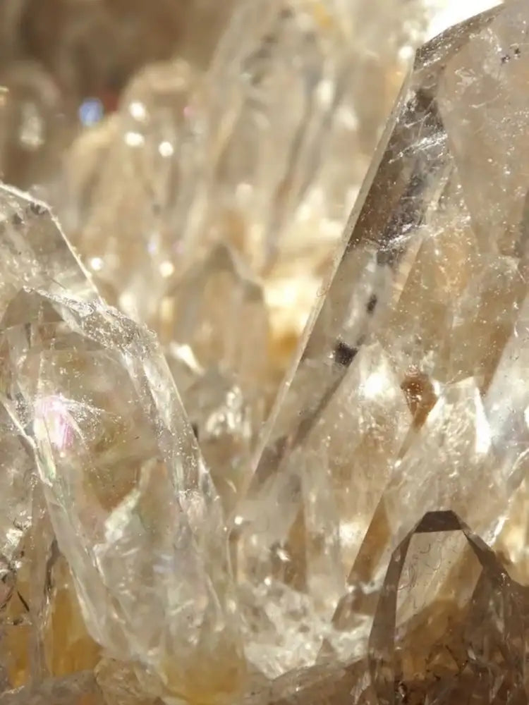 Cleansing & Charging