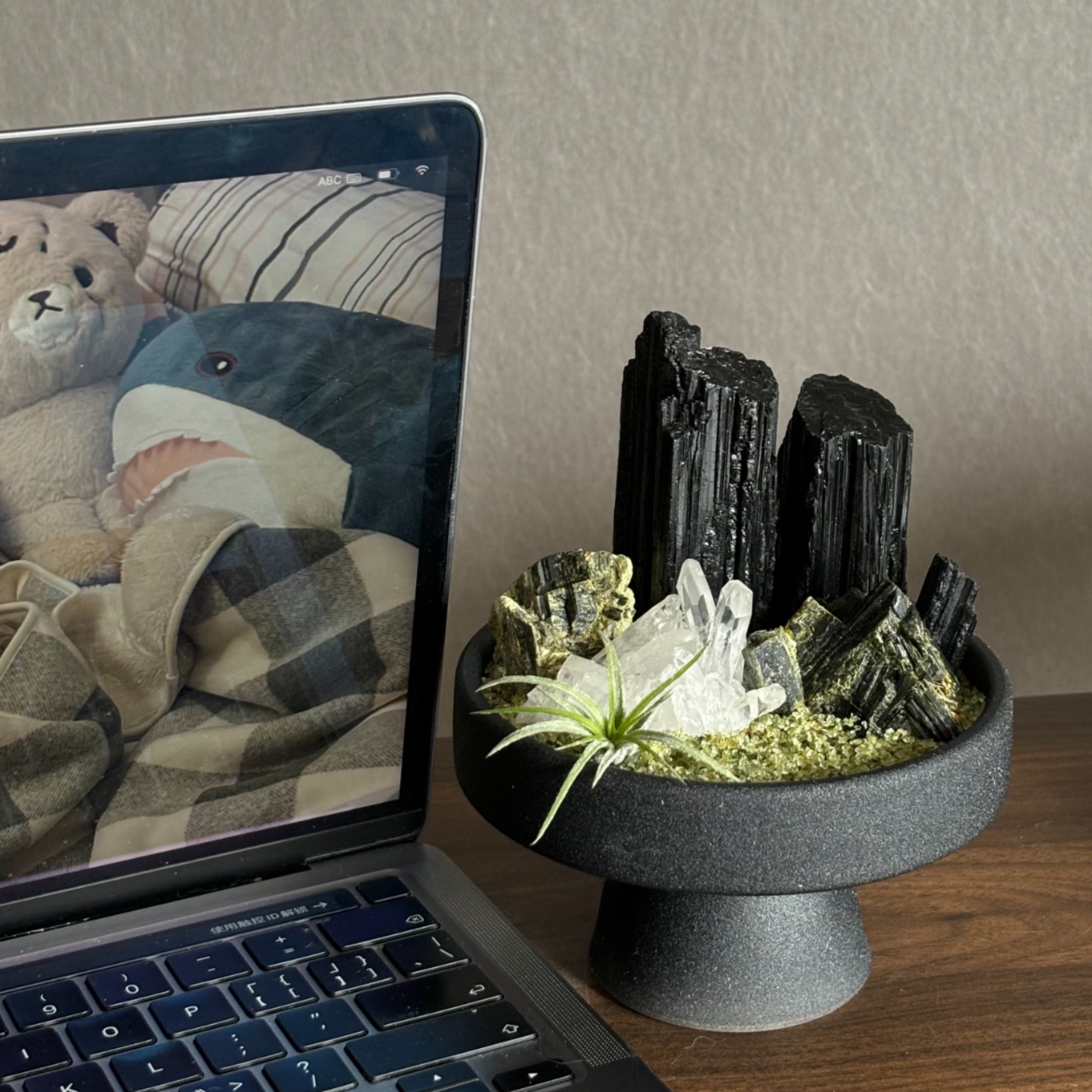 Black Tourmaline Crystals - Natural Protective Energy & Grounding